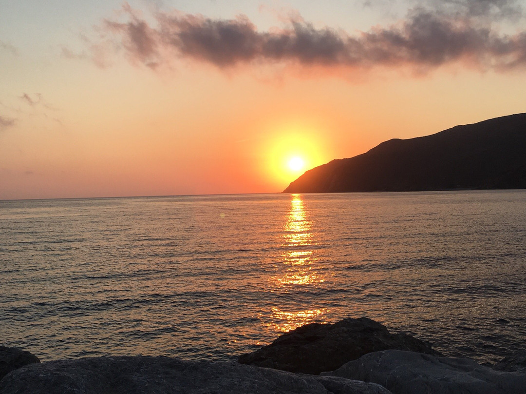 Aegeon Pension主图