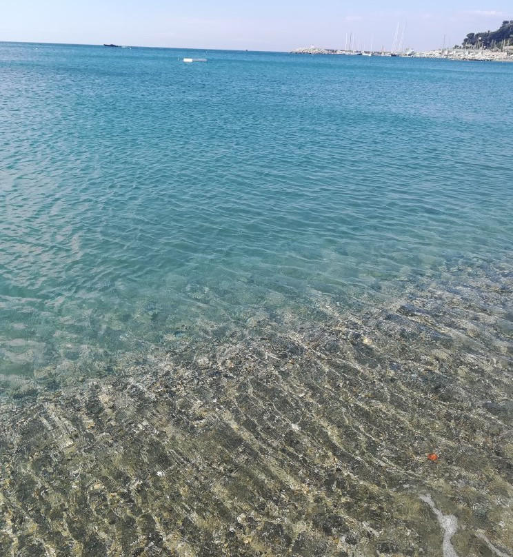 Bagni Delfino