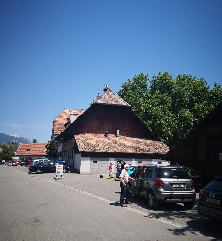 Muhledorf旅游攻略图片