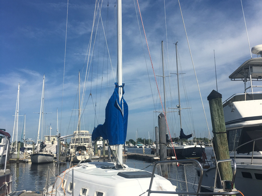 On The Wind Sailing Cruises-新伯尔尼必去景点