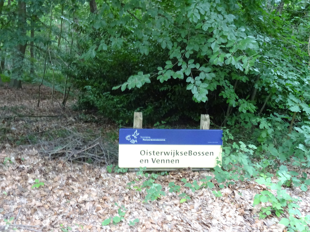 Streekpark Klein Oisterwijk-Oisterwijk必去景点