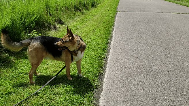Fox Ridge State Park-Charleston必去景点