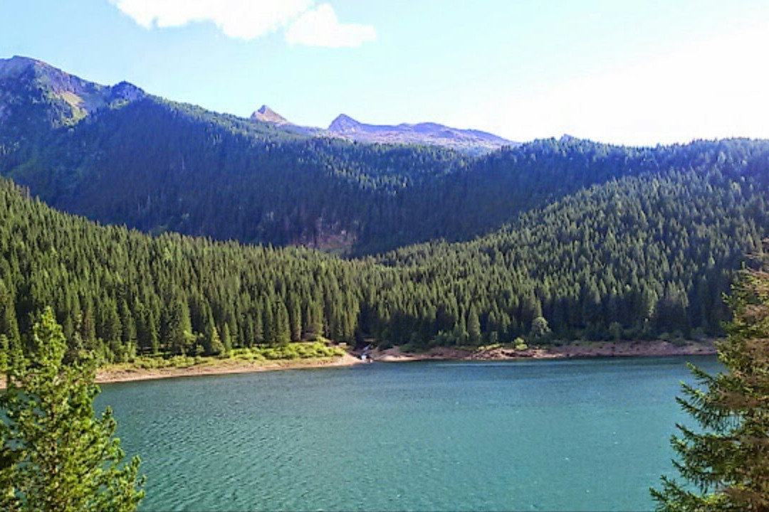 Lago Di Paneveggio景点图片