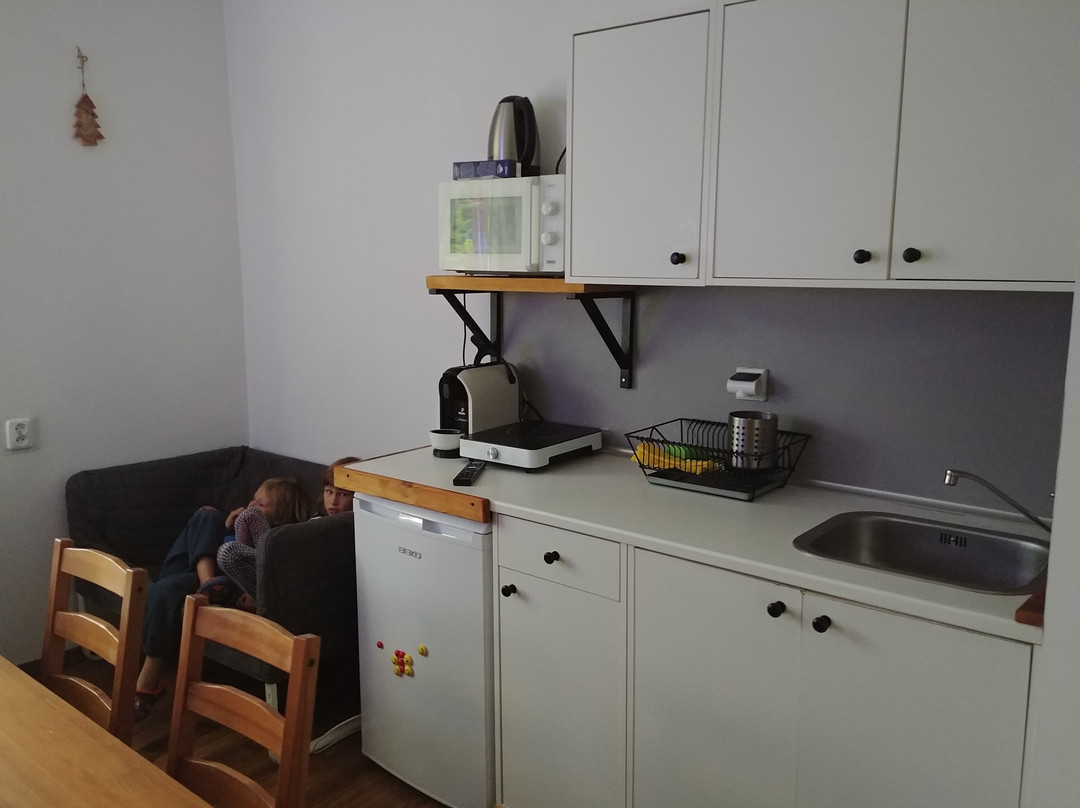 Lesne Apartamenty主图
