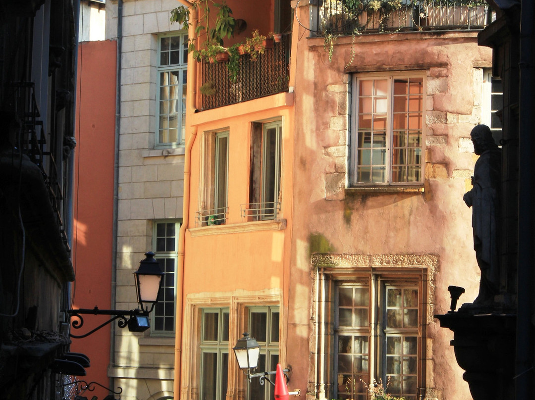 Lyon Insolite景点图片