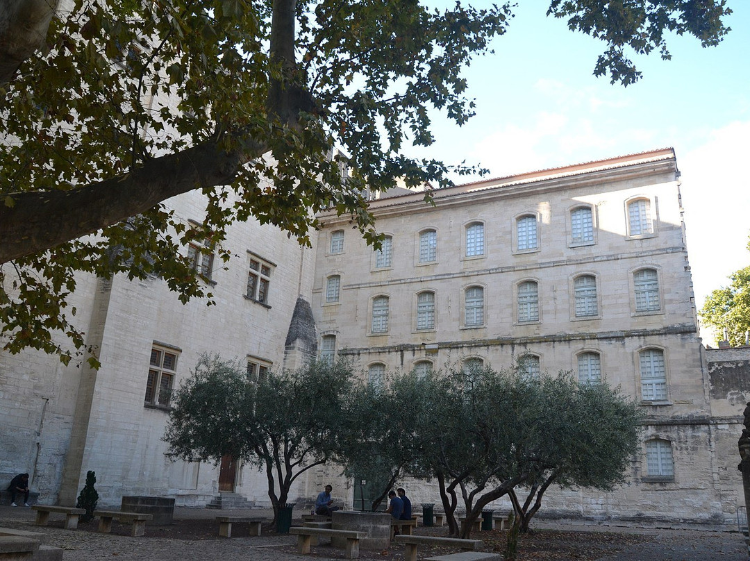 Livrée Ceccano-阿维尼翁必去景点