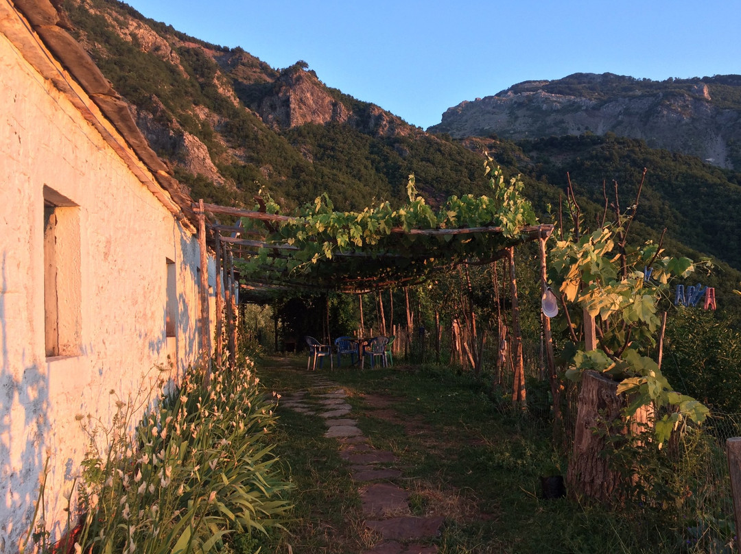 Bujtina Bashota Guesthouse