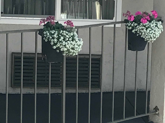 Best Western Santee Lodge主图