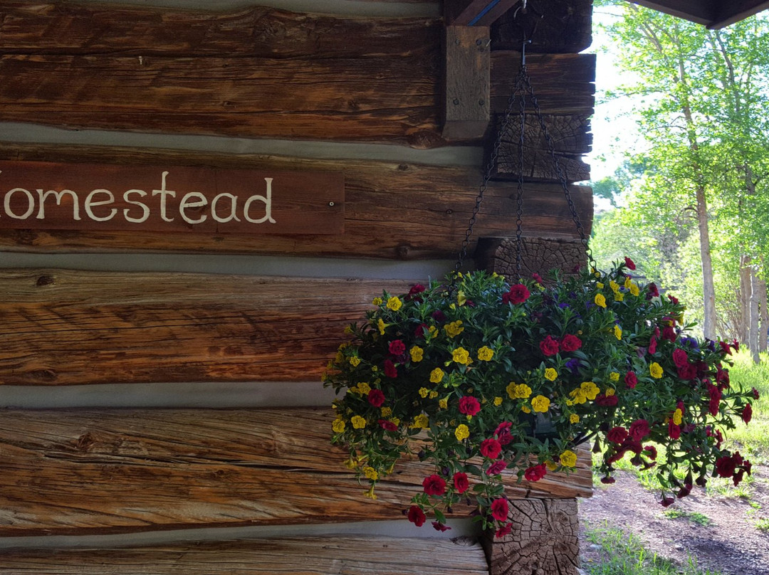 Jakey's Fork Homestead主图