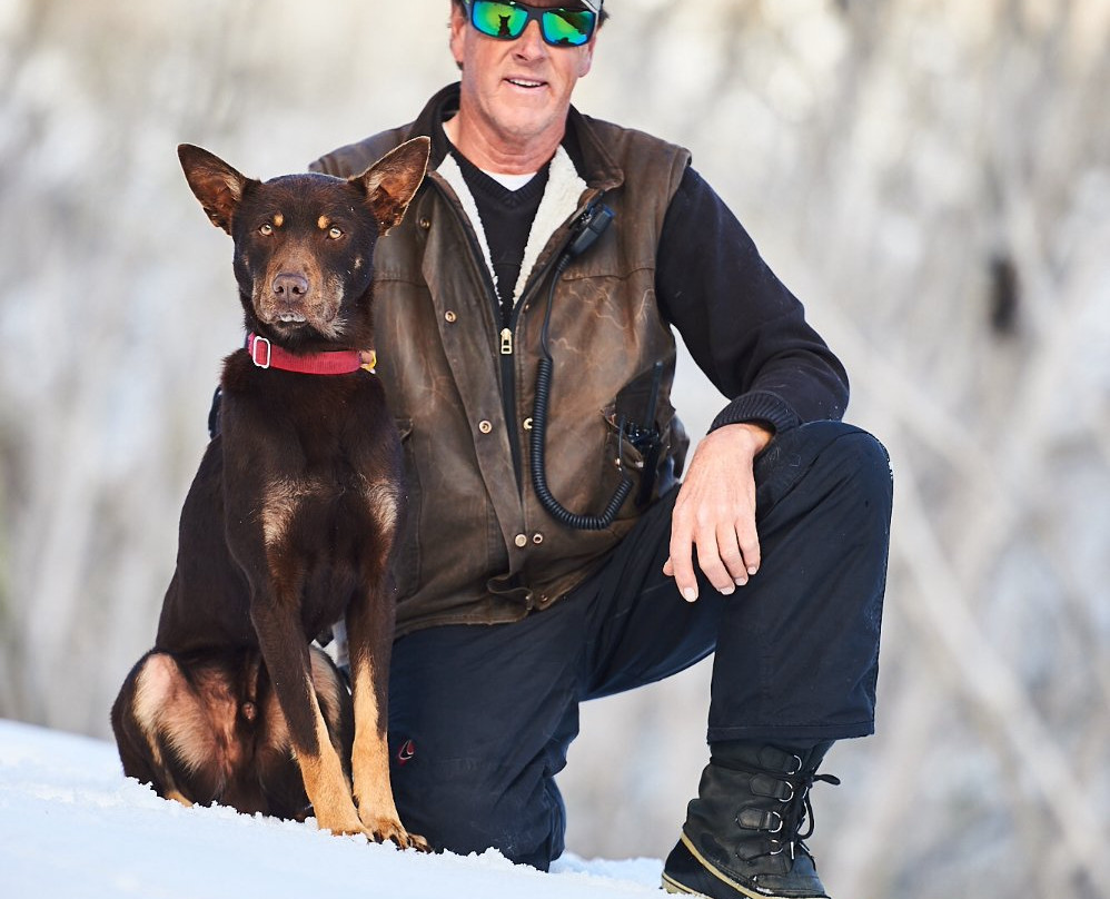 Australian Sleddog Tours-Mount Buller必去景点