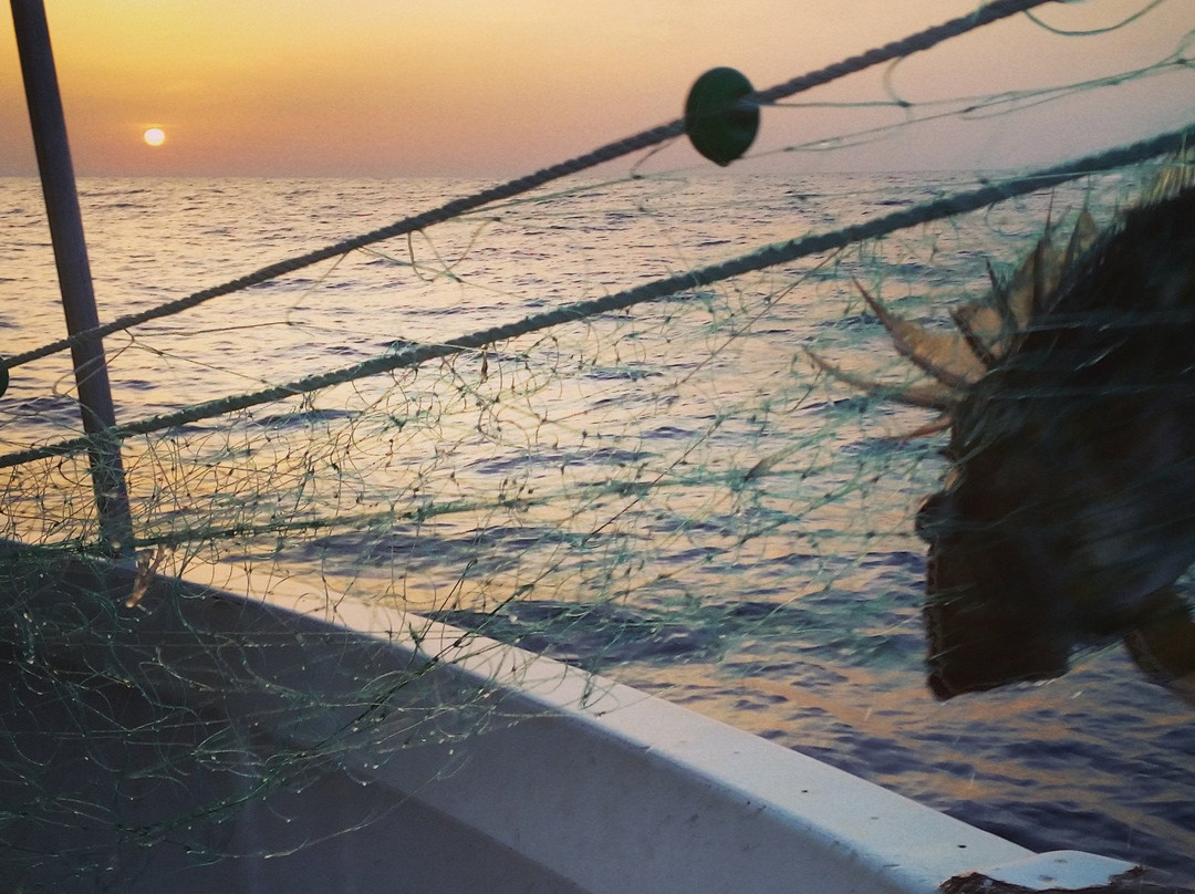 Mallorca Fishing Charter景点图片