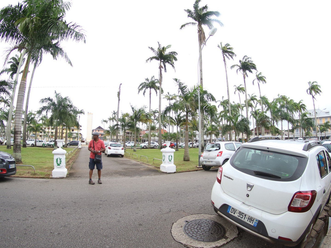 Celestial Tours Suriname景点图片