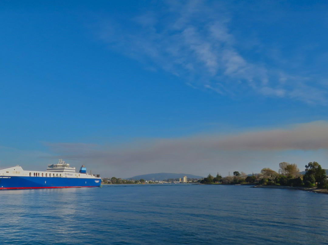 Bluff Park-Devonport必去景点