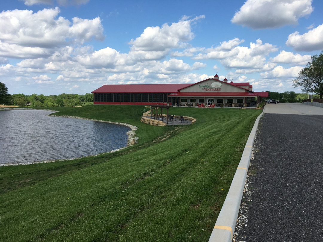 Grafton Winery The Vineyards景点图片