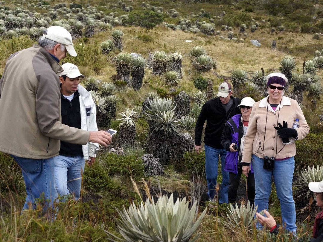 Colombian Highlands Tours & Expeditions-莱瓦镇必去景点