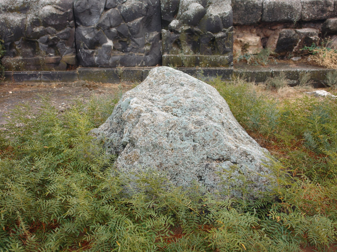 Saint Simon Citadel (Sam’an Citadel, Qalat Samaan)景点图片