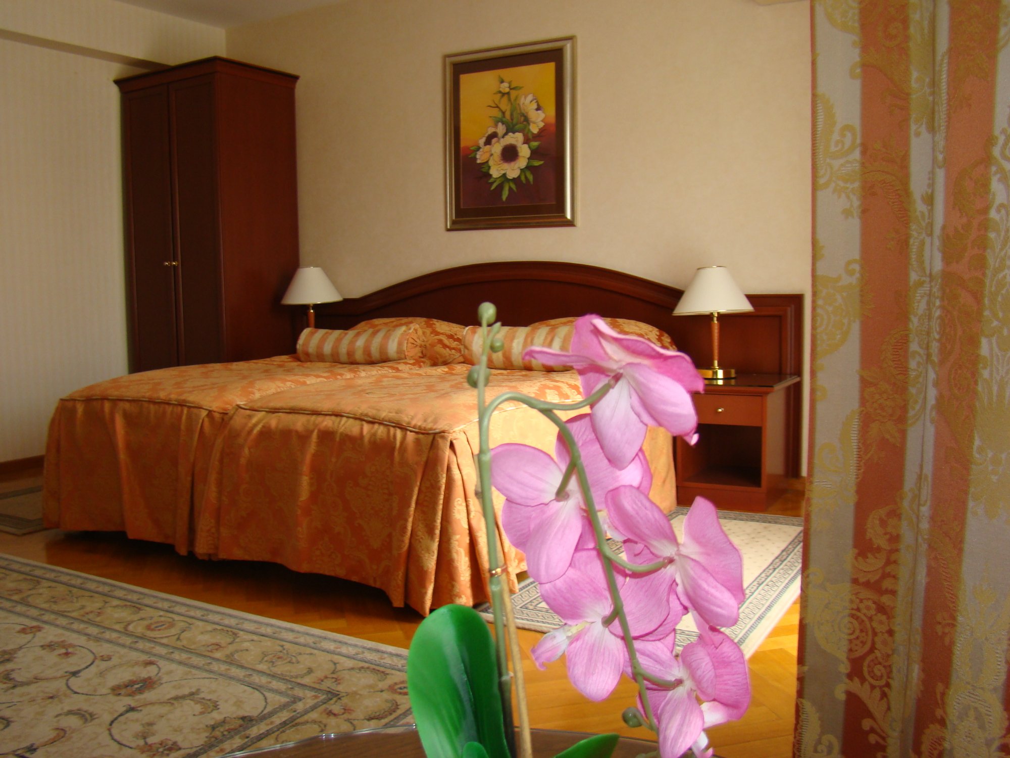 Hotel Vila Ariston-官方
