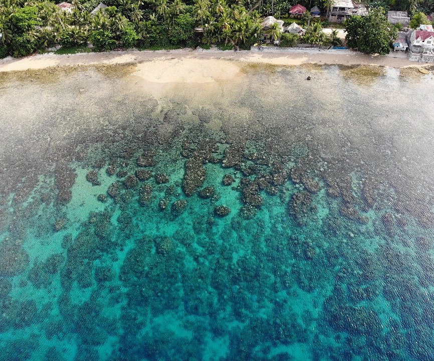 Reggae Vibes De Romblon
