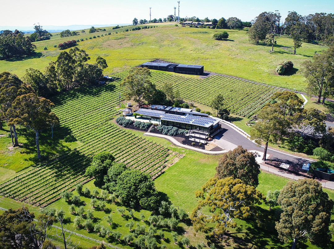 Piedmont餐馆和美食-Brandy Creek Estate