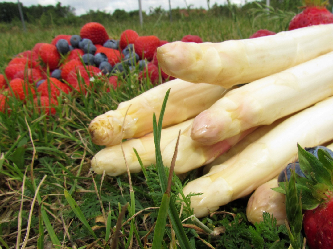 Rahden餐馆和美食-Spargelhof Winkelmann
