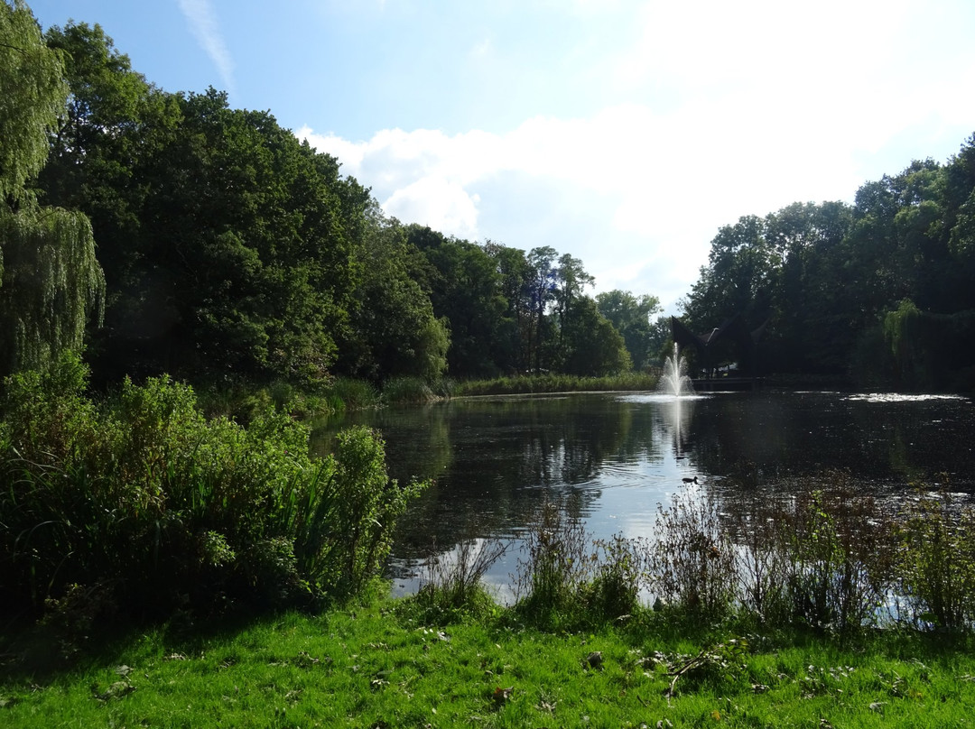 Leidse Hout Park-莱顿必去景点