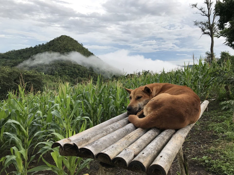 Bangkok Hiking-曼谷必去景点