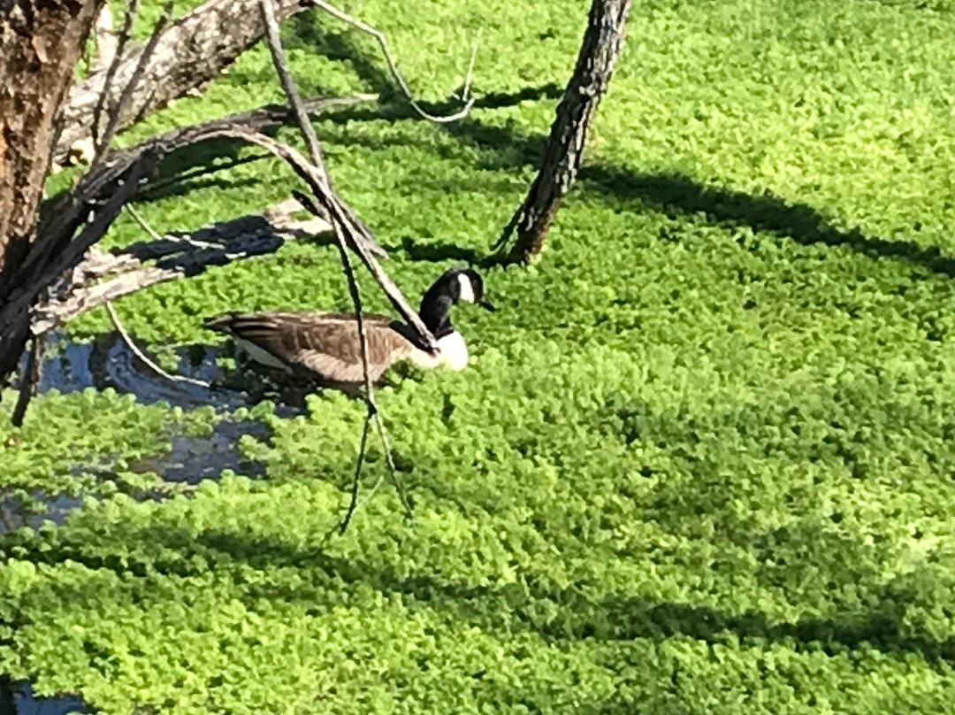 Discovery Center-默弗里斯伯勒必去景点