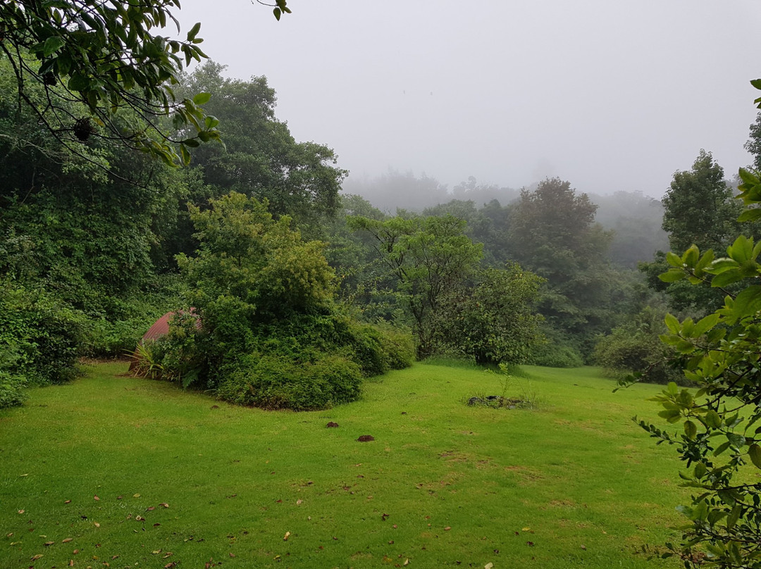 Zur alten Mine主图