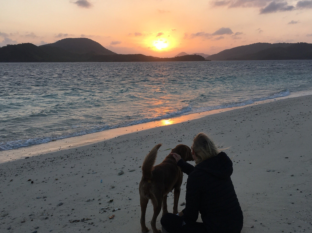 Big Dream Boatman-科隆必去景点