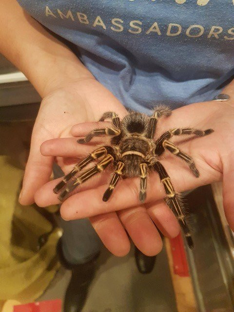 Little Ray's Nature Centre-渥太华必去景点