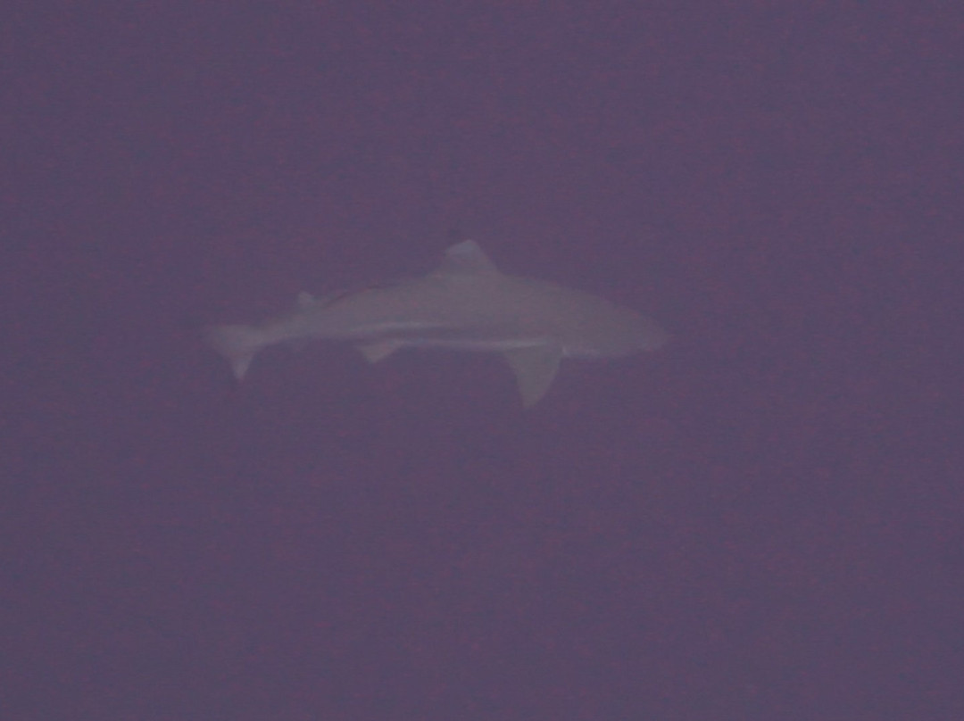 贵族度假村主图