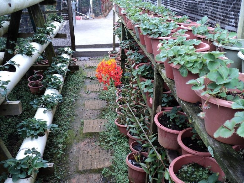 Philip Garden Chalets主图