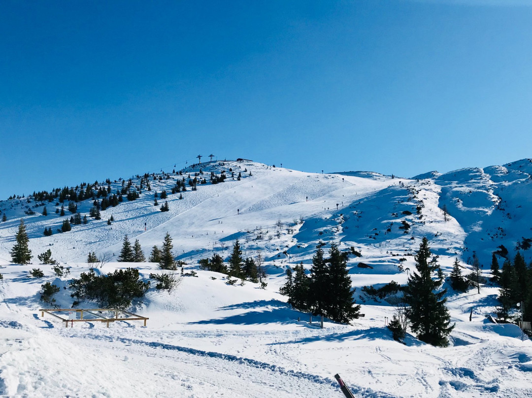 Bergbahnen Steinplatte Waidring