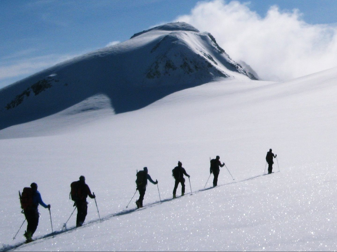 Arlberg Snowsports景点图片