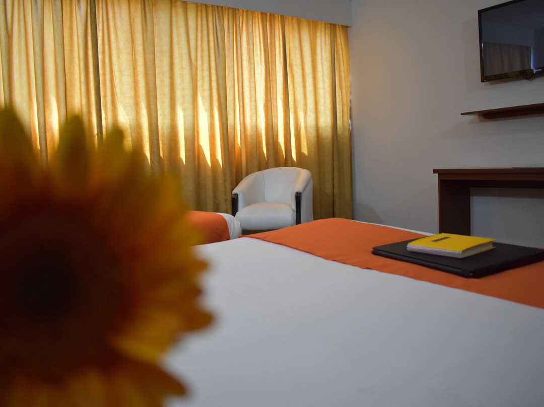 Hotel Costa Real主图