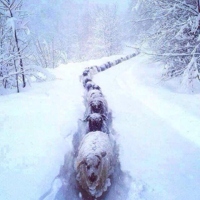 Gran Turismo Rioja-拉瓜迪亚必去景点