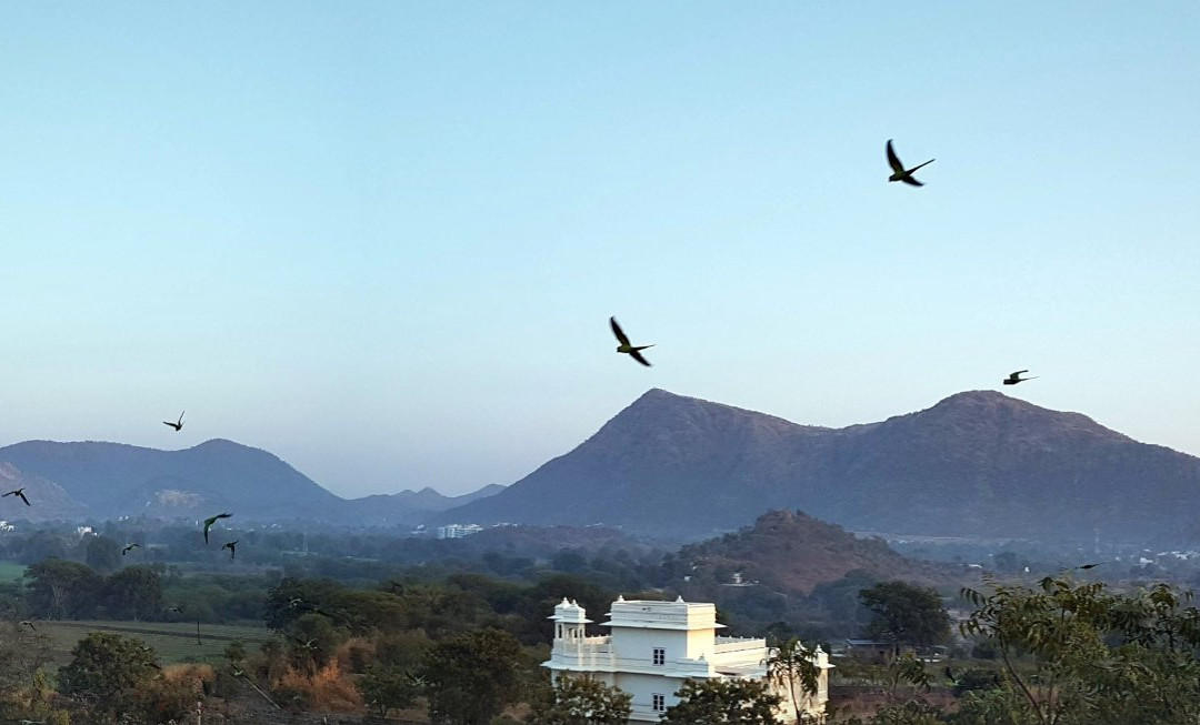 The Space Jungle Retreat主图