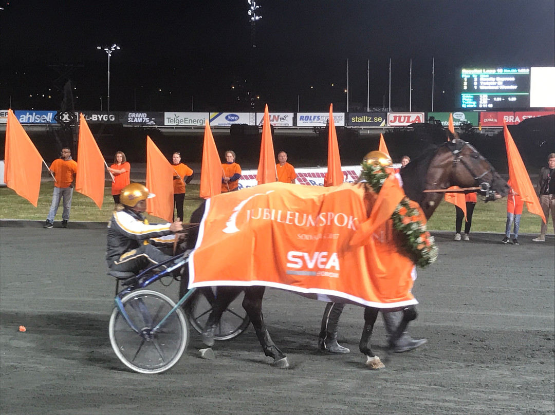Solvalla Travbana, Harness-Racing Track-斯德哥尔摩必去景点