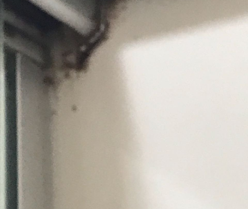 Pousada Don Quixote主图