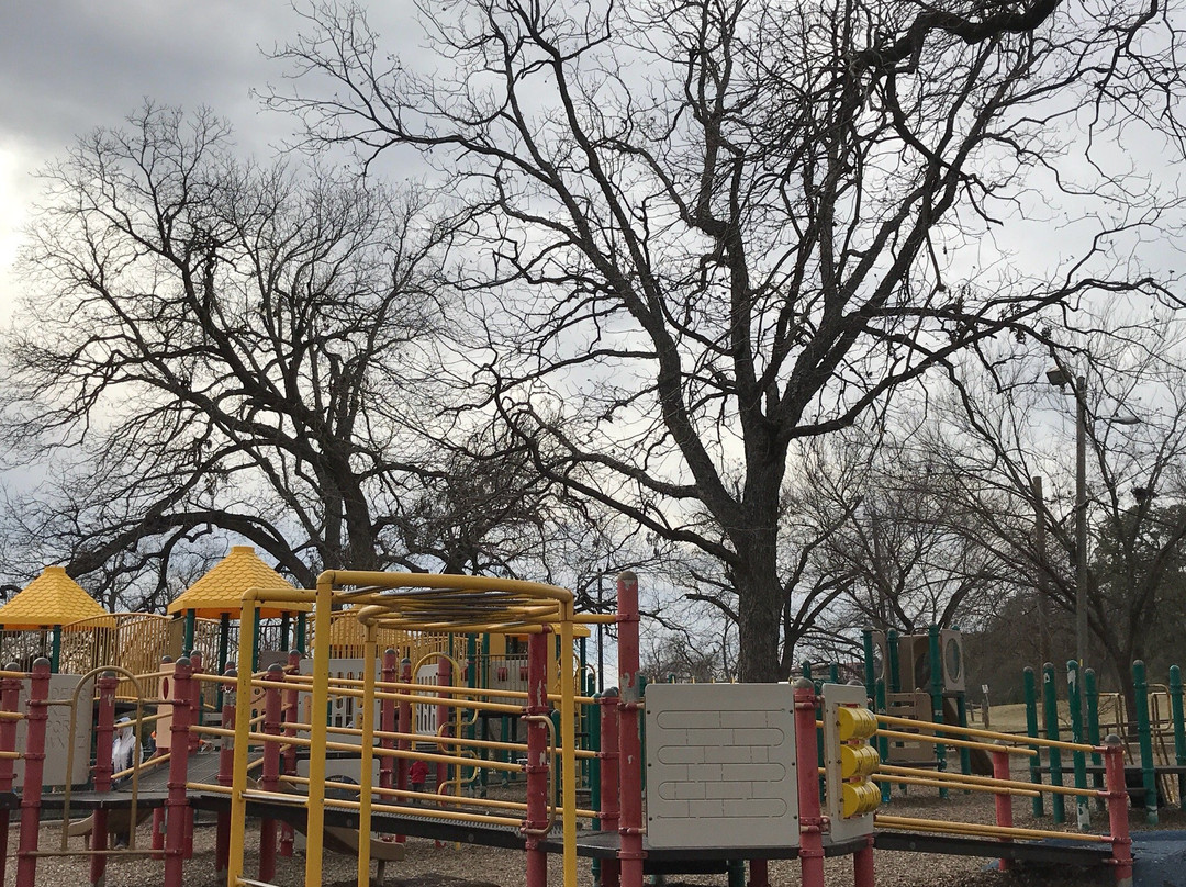 Zilker Playground景点图片