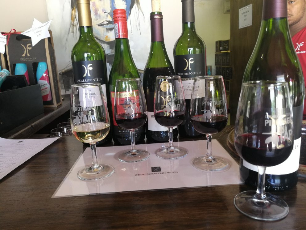 Diemersfontein Wines Tasting Room景点图片