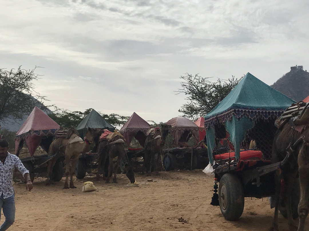 Pushkar Desert Safari景点图片