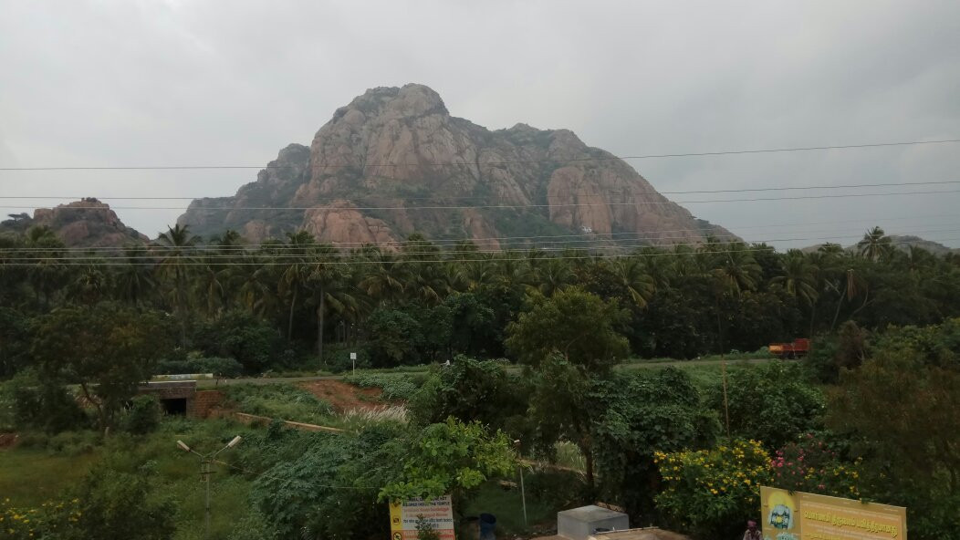 Shirdhi Sai Baba Temple, Kanyakumari景点图片