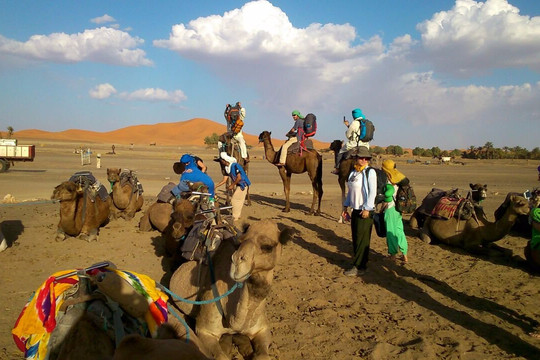 First Marrakech Tours-马拉喀什必去景点