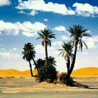 Marvelous Morocco-卡萨布兰卡必去景点