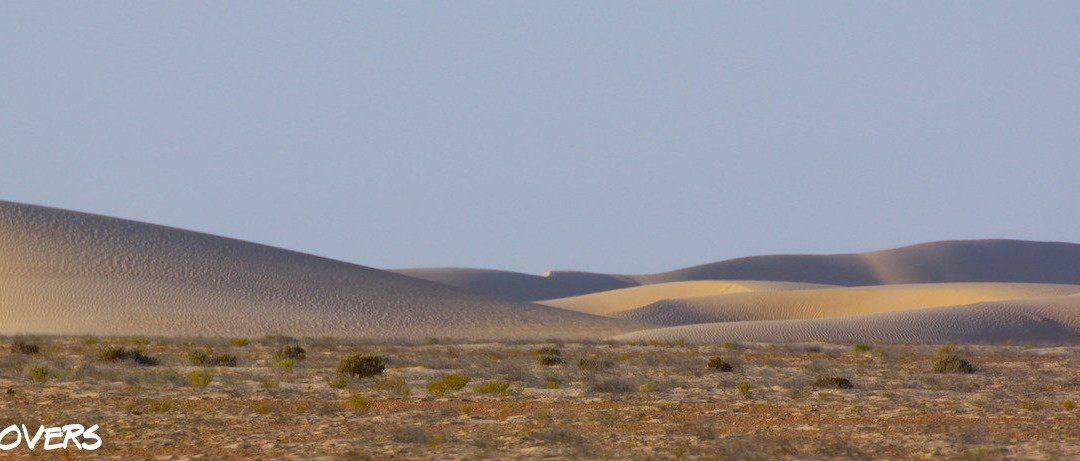 Dakhla Rovers-达赫拉必去景点