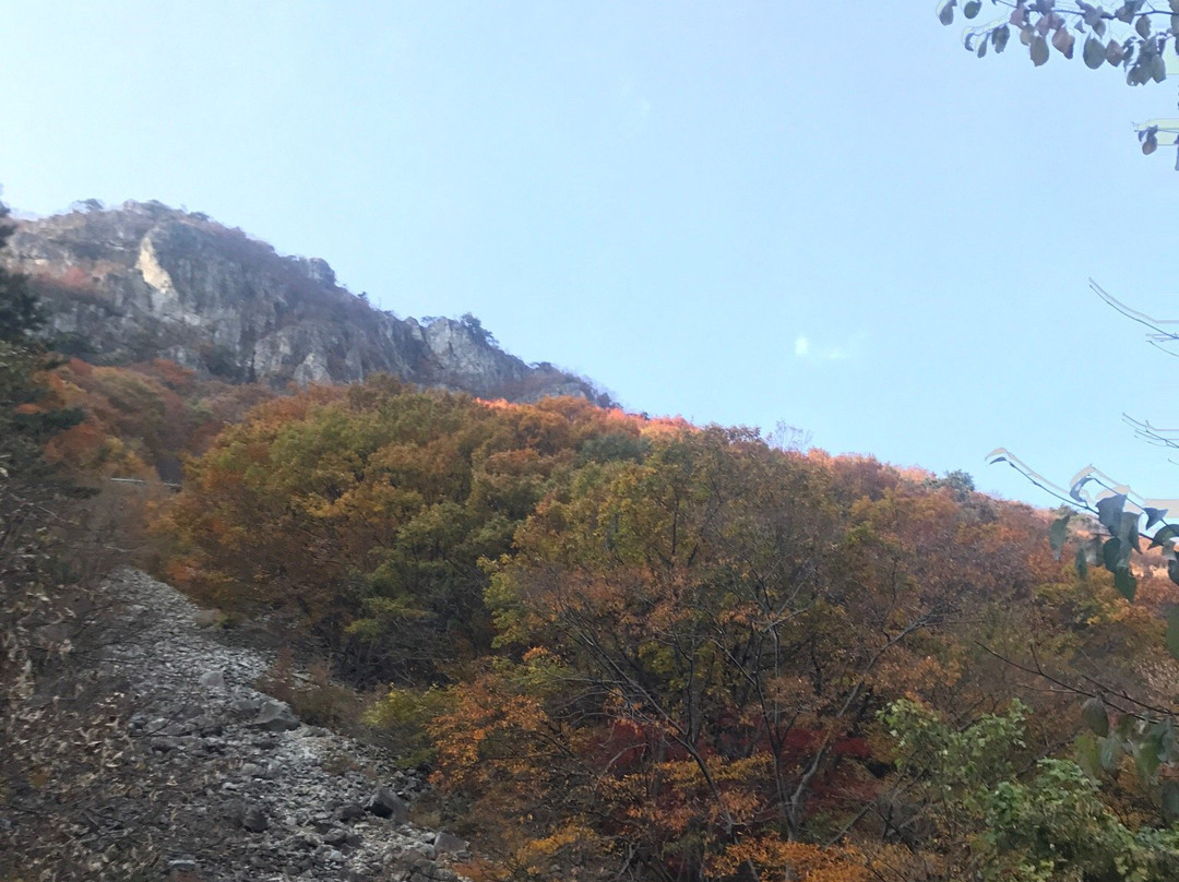 Ganwoljae Plateau-蔚山必去景点