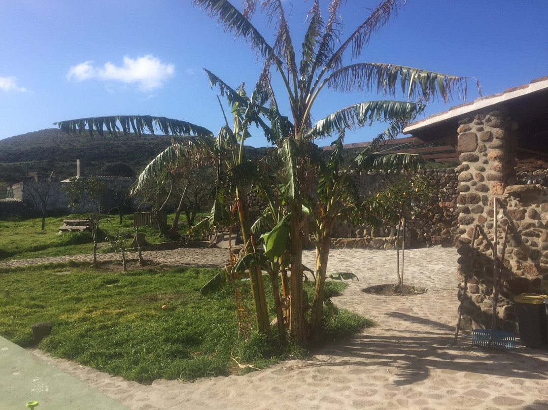 Cannai酒店住宿-Tenuta Blancamar