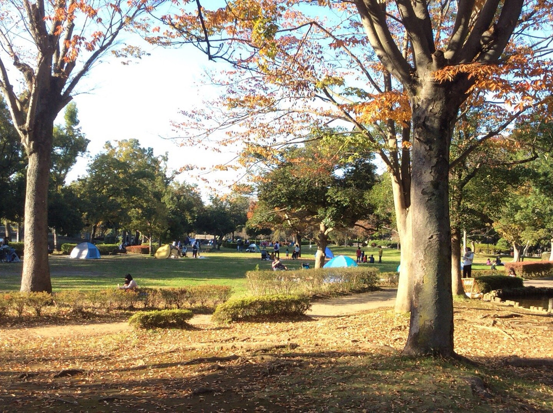 Ageo Maruyama Park-上尾市必去景点