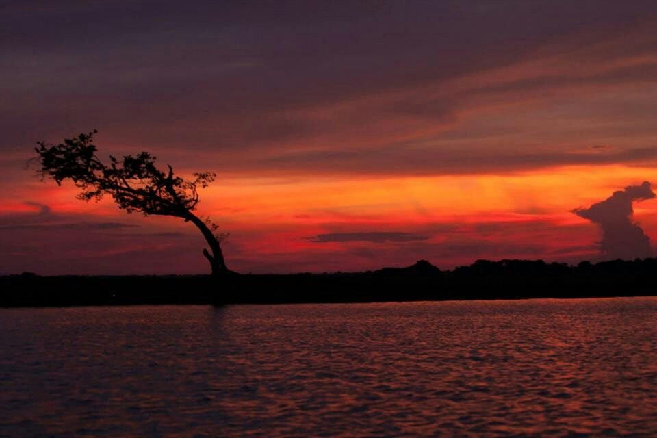 MIrador Turistico Cienaga De Zapatosa-Chimichagua必去景点